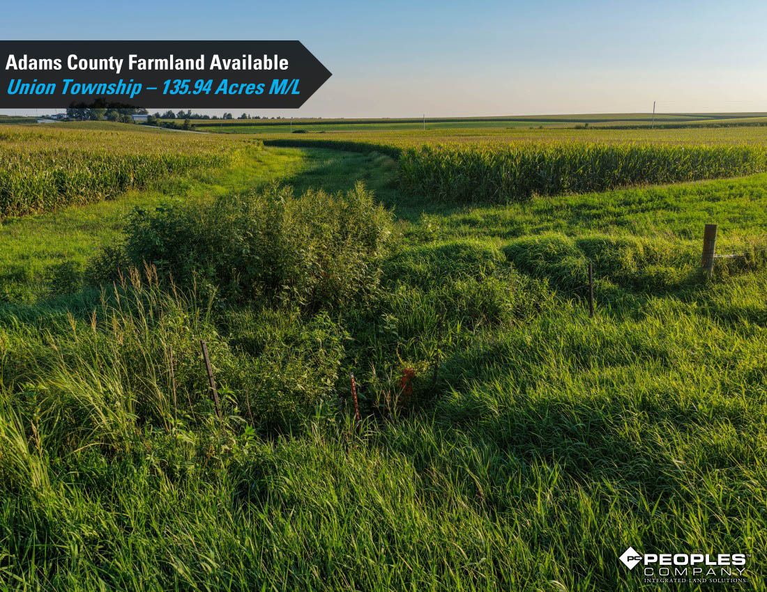 Listing Photo: Adams-County-Iowa-Farmland-Available-136-Acres-Blazek-Estate-19707 (9)